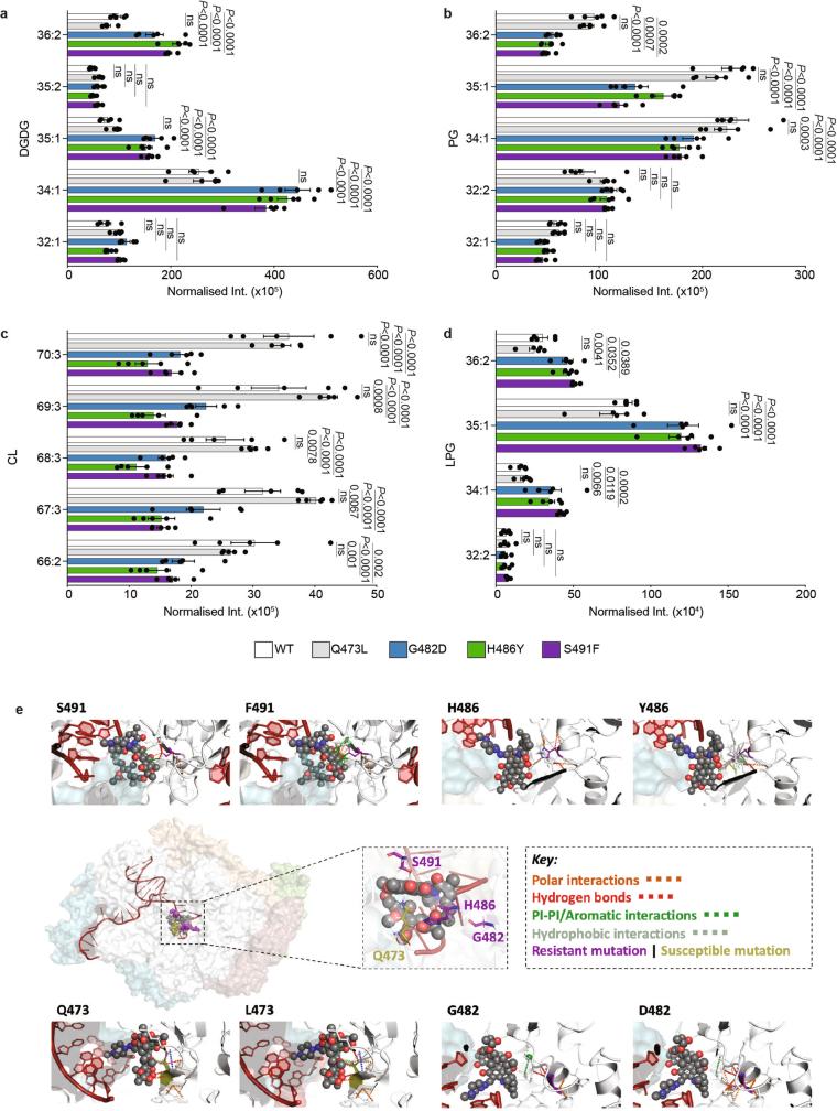 https://cdn.ncbi.nlm.nih.gov/pmc/blobs/28ab/11602712/8cc0bc84a2a4/41586_2024_8095_Fig11_ESM.jpg