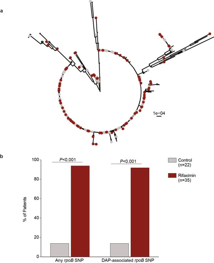 https://cdn.ncbi.nlm.nih.gov/pmc/blobs/28ab/11602712/c5b93b2cabae/41586_2024_8095_Fig9_ESM.jpg