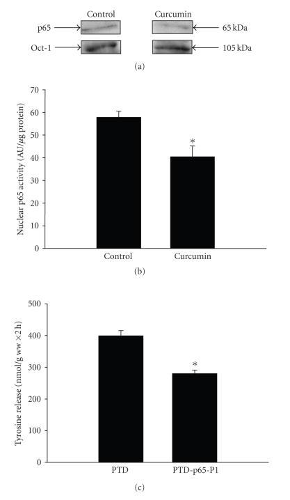 https://cdn.ncbi.nlm.nih.gov/pmc/blobs/28ac/2279164/f222be1051a6/MI2008-317851.007.jpg