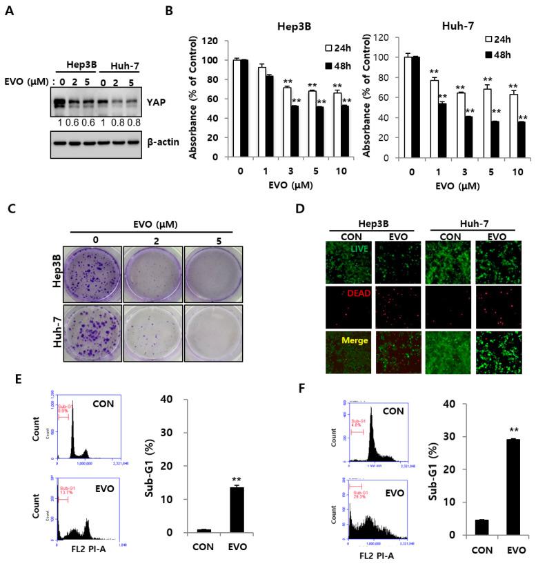 https://cdn.ncbi.nlm.nih.gov/pmc/blobs/28ae/8837083/7949bf006115/ijms-23-01855-g003.jpg