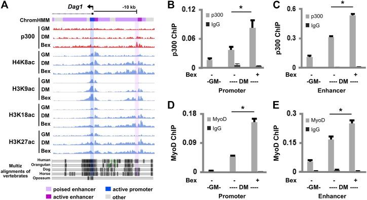 https://cdn.ncbi.nlm.nih.gov/pmc/blobs/28ae/8940196/b8202dffa78b/fcell-10-818701-g002.jpg