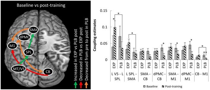 https://cdn.ncbi.nlm.nih.gov/pmc/blobs/28b0/5780425/bd06cbd373a4/fnins-12-00003-g0003.jpg
