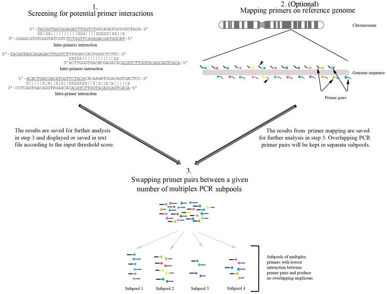 https://cdn.ncbi.nlm.nih.gov/pmc/blobs/28b3/6994079/0b7136298f8c/bpx006f1.jpg