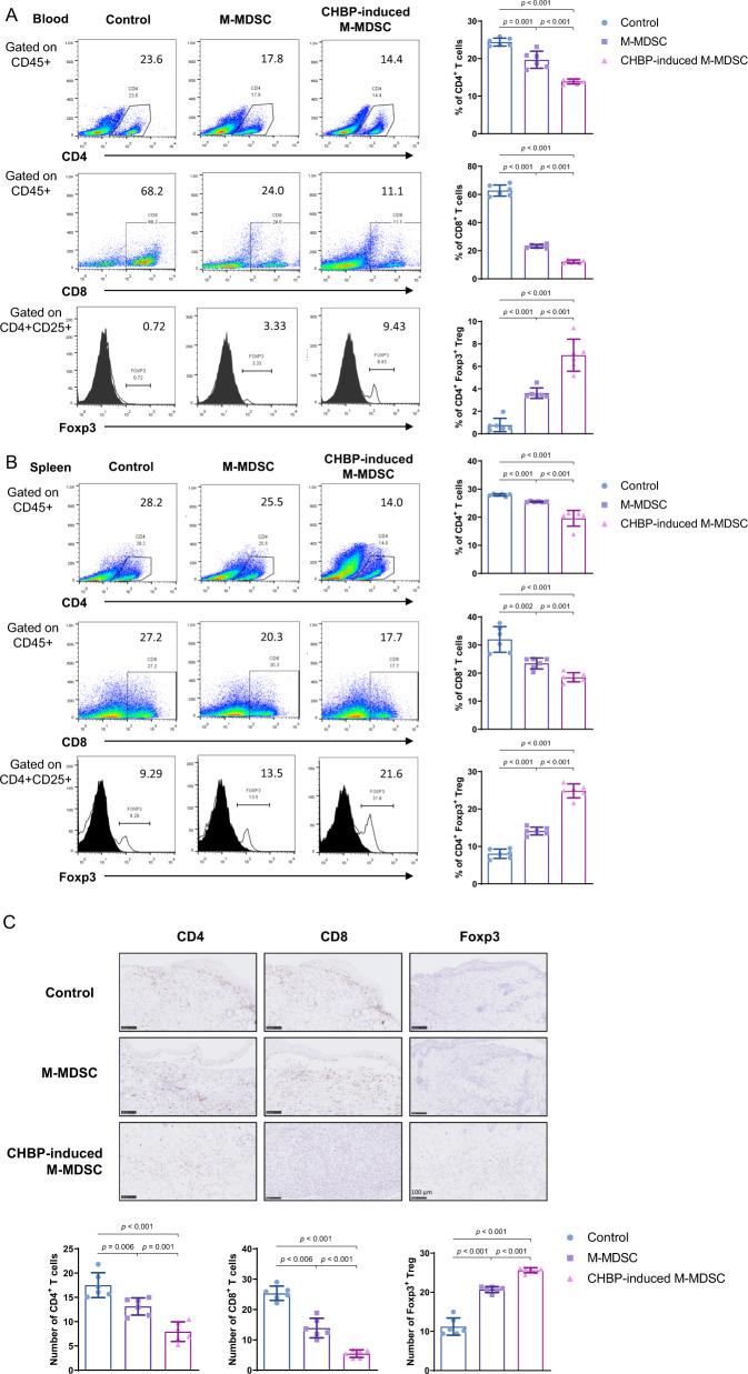 https://cdn.ncbi.nlm.nih.gov/pmc/blobs/28b6/7881243/f54a9f9d7116/41419_2021_3448_Fig3_HTML.jpg