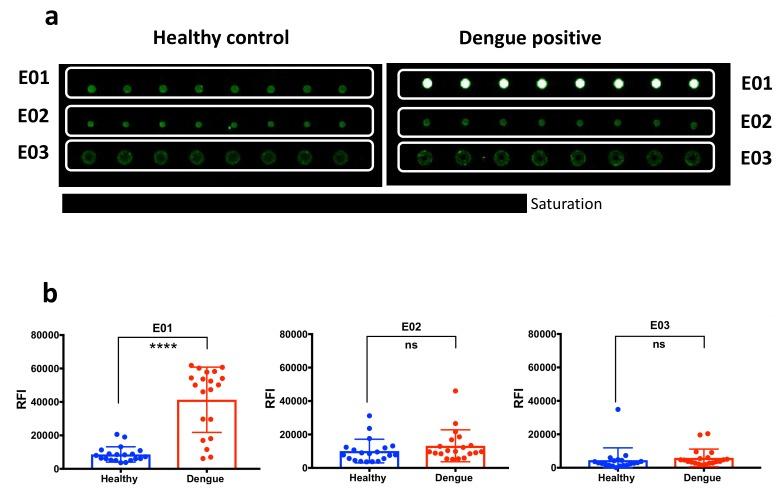 https://cdn.ncbi.nlm.nih.gov/pmc/blobs/28b7/6514720/3396ae6b4f09/ijms-20-01921-g003.jpg