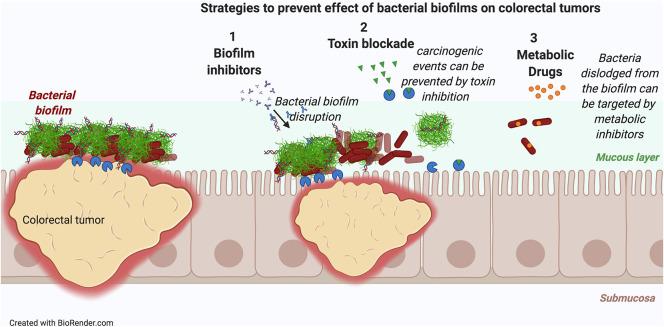 https://cdn.ncbi.nlm.nih.gov/pmc/blobs/28b7/7952436/9aca2b700843/fimmu-12-638867-g0003.jpg