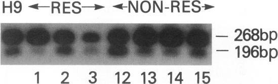 https://cdn.ncbi.nlm.nih.gov/pmc/blobs/28bb/296149/75d88ba0473e/jcinvest00020-0246-a.jpg