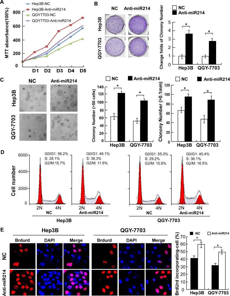 https://cdn.ncbi.nlm.nih.gov/pmc/blobs/28be/4808043/858f7a9e3f31/oncotarget-07-0929-g003.jpg