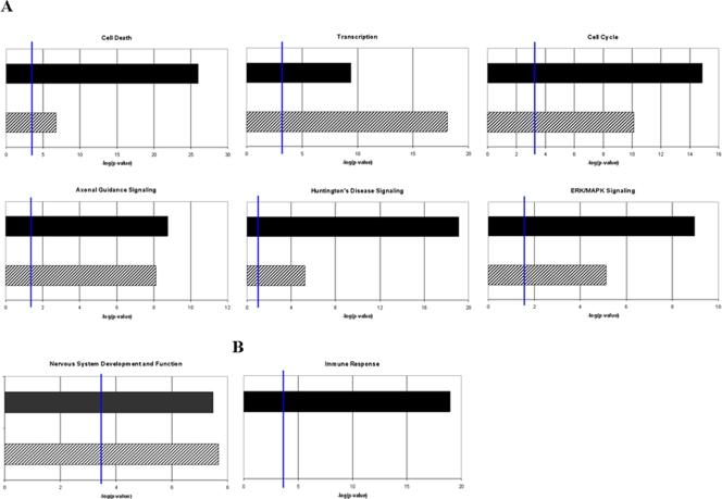 https://cdn.ncbi.nlm.nih.gov/pmc/blobs/28bf/2575400/473af83e7873/pone.0003652.g005.jpg