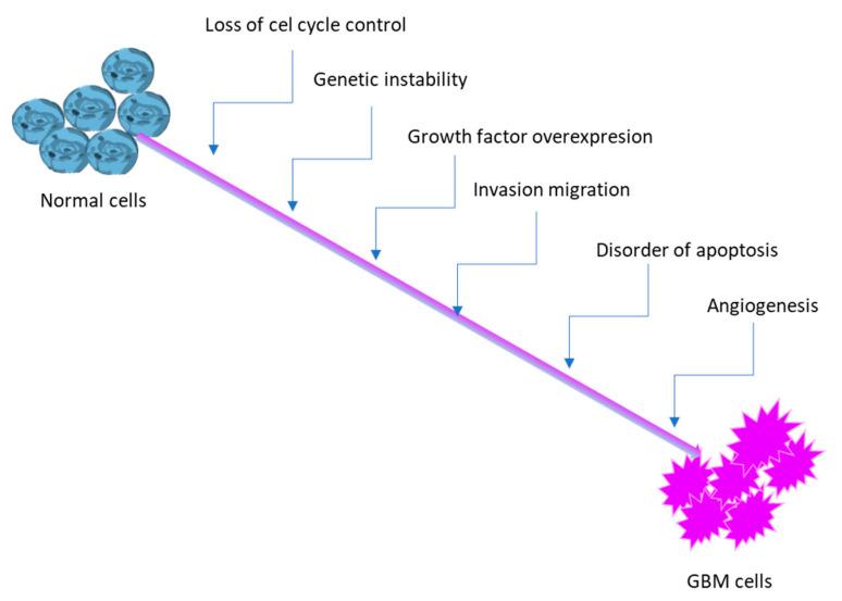 https://cdn.ncbi.nlm.nih.gov/pmc/blobs/28c2/12430025/128438224c4b/molecules-30-03485-g002.jpg