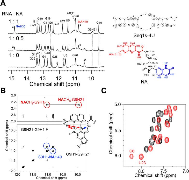 https://cdn.ncbi.nlm.nih.gov/pmc/blobs/28c2/12442543/7b24e73b59ae/d5sc05255f-f6.jpg