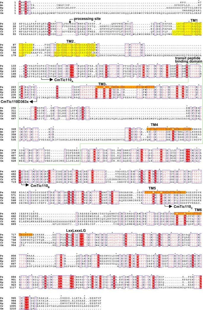 https://cdn.ncbi.nlm.nih.gov/pmc/blobs/28c2/3823011/d4486398ef2c/tpj0075-0847-f2.jpg