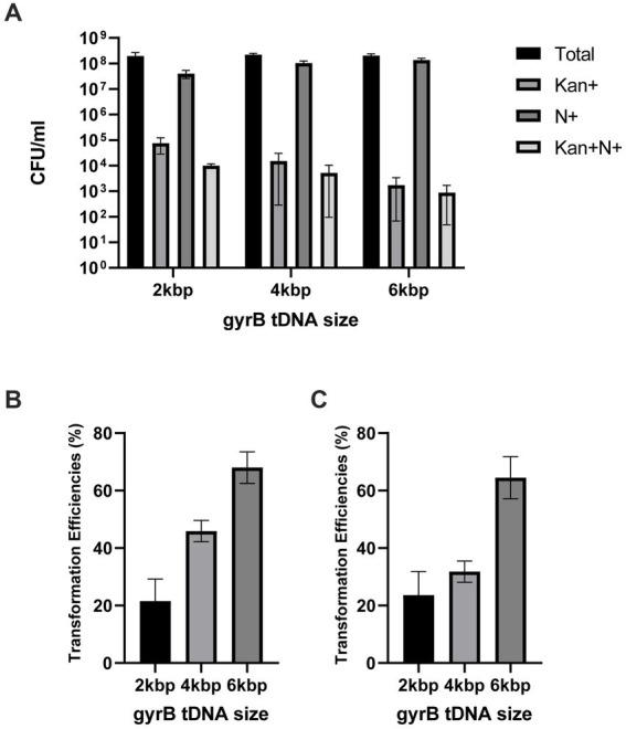 https://cdn.ncbi.nlm.nih.gov/pmc/blobs/28c3/10319059/ff093aee2767/fmicb-14-1178128-g005.jpg
