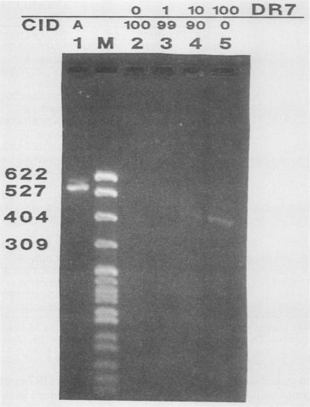 https://cdn.ncbi.nlm.nih.gov/pmc/blobs/28c4/360836/b12599c7e16a/molcellb00043-0518-a.jpg