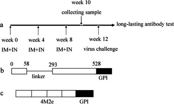 https://cdn.ncbi.nlm.nih.gov/pmc/blobs/28c4/9972598/5e63246fcb53/12985_2023_1994_Fig1_HTML.jpg