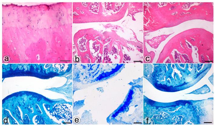 https://cdn.ncbi.nlm.nih.gov/pmc/blobs/28c5/11117951/4a0a9edda52c/biology-13-00331-g003.jpg