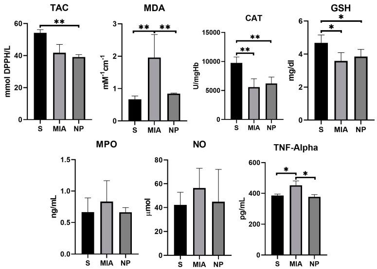 https://cdn.ncbi.nlm.nih.gov/pmc/blobs/28c5/11117951/c8f35731451a/biology-13-00331-g005.jpg