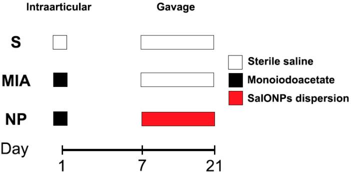 https://cdn.ncbi.nlm.nih.gov/pmc/blobs/28c5/11117951/d1c9bc399cc3/biology-13-00331-g001.jpg