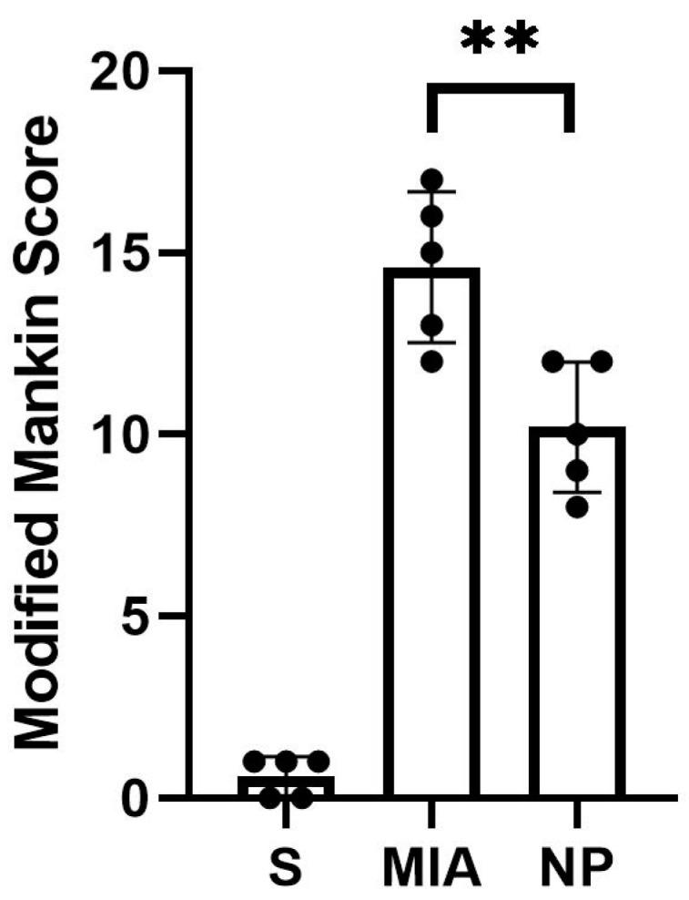 https://cdn.ncbi.nlm.nih.gov/pmc/blobs/28c5/11117951/e789225eb8be/biology-13-00331-g002.jpg