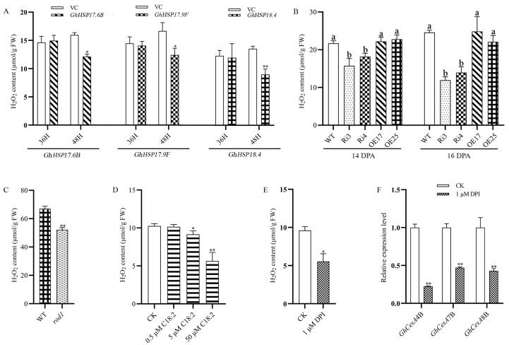 https://cdn.ncbi.nlm.nih.gov/pmc/blobs/28c8/11509027/f6bf76721ea1/ijms-25-11242-g006.jpg