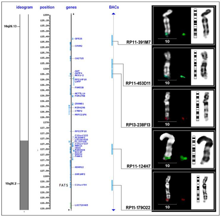 https://cdn.ncbi.nlm.nih.gov/pmc/blobs/28c9/3472787/64aad4931654/ijms-13-11974f2.jpg