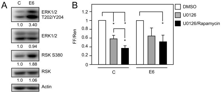 https://cdn.ncbi.nlm.nih.gov/pmc/blobs/28c9/3597533/7e087af5272a/ppat.1003237.g002.jpg