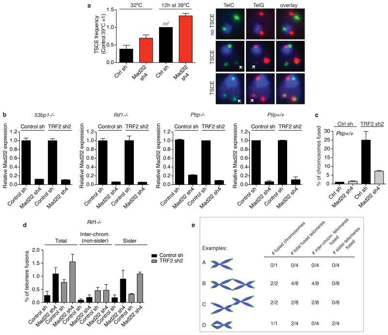 https://cdn.ncbi.nlm.nih.gov/pmc/blobs/28cb/4481296/00d40fa1d682/emss-61660-f0010.jpg
