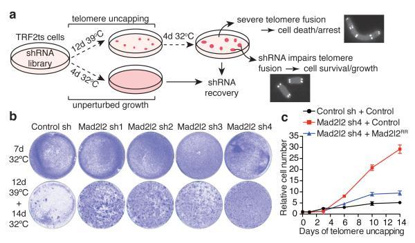 https://cdn.ncbi.nlm.nih.gov/pmc/blobs/28cb/4481296/1afbe471bf03/emss-61660-f0001.jpg