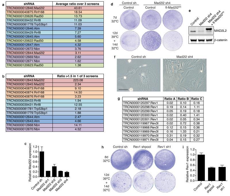 https://cdn.ncbi.nlm.nih.gov/pmc/blobs/28cb/4481296/5df36d43d3bd/emss-61660-f0005.jpg