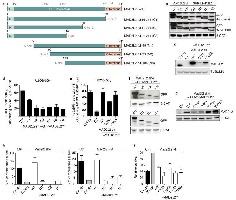 https://cdn.ncbi.nlm.nih.gov/pmc/blobs/28cb/4481296/9875d95c3dbe/emss-61660-f0011.jpg