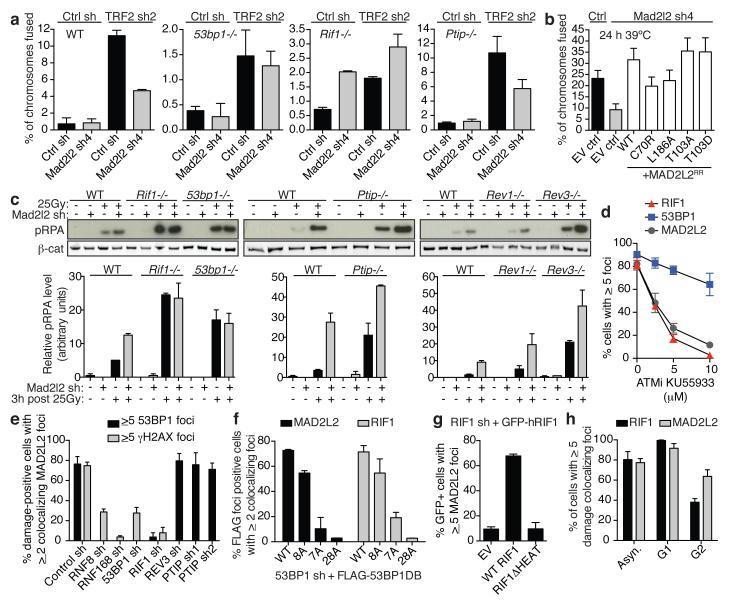 https://cdn.ncbi.nlm.nih.gov/pmc/blobs/28cb/4481296/b79cac658f01/emss-61660-f0004.jpg