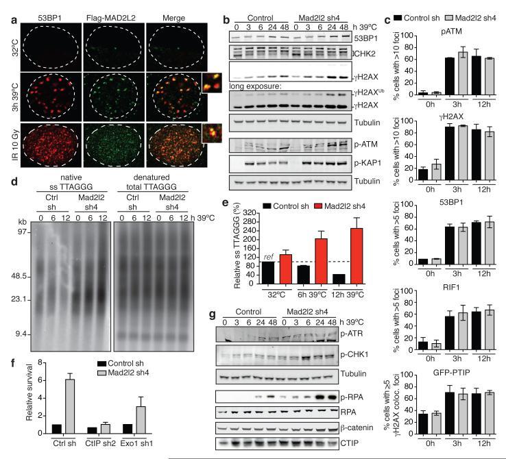 https://cdn.ncbi.nlm.nih.gov/pmc/blobs/28cb/4481296/ed5b3be06b3a/emss-61660-f0003.jpg
