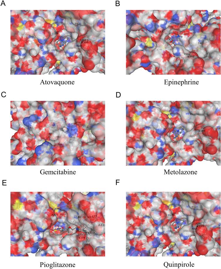 https://cdn.ncbi.nlm.nih.gov/pmc/blobs/28ce/12332088/46110117a16c/41598_2025_11836_Fig11_HTML.jpg