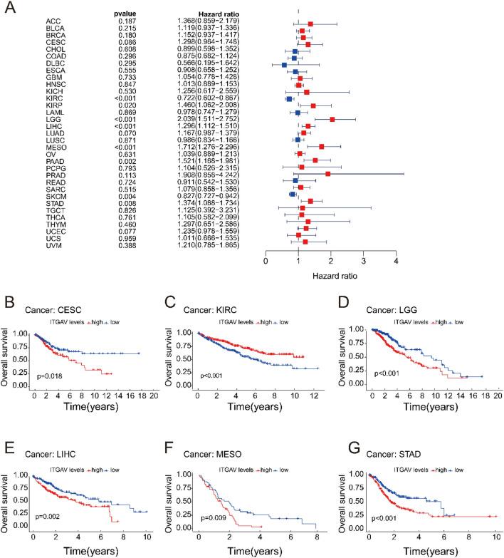 https://cdn.ncbi.nlm.nih.gov/pmc/blobs/28ce/12332088/4700511f73b0/41598_2025_11836_Fig4_HTML.jpg