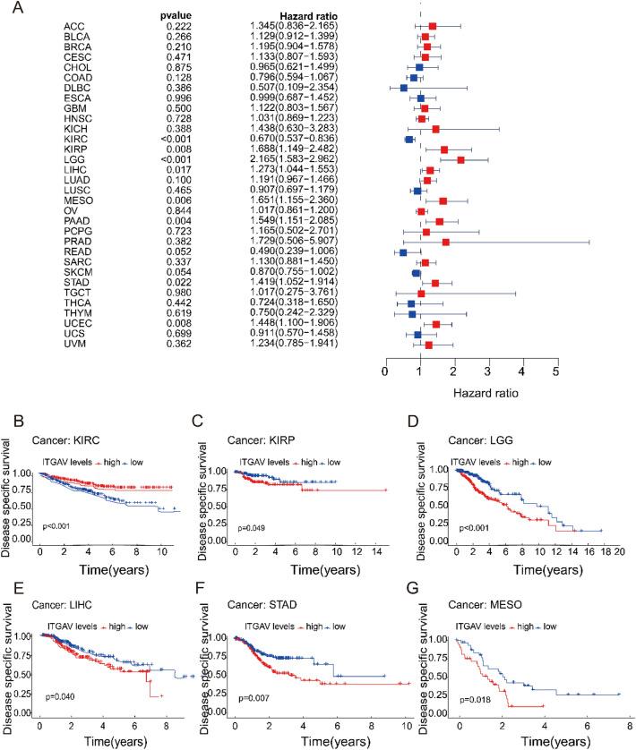 https://cdn.ncbi.nlm.nih.gov/pmc/blobs/28ce/12332088/e64c51d2f06b/41598_2025_11836_Fig6_HTML.jpg