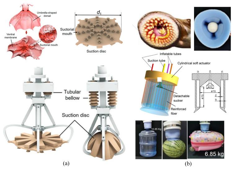 https://cdn.ncbi.nlm.nih.gov/pmc/blobs/28d3/10535325/104f75f24476/micromachines-14-01772-g005.jpg