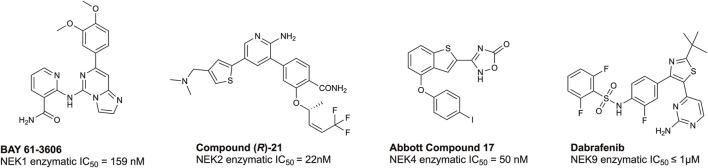 https://cdn.ncbi.nlm.nih.gov/pmc/blobs/28d3/10958382/03221c21eb6f/fmolb-11-1352781-g004.jpg