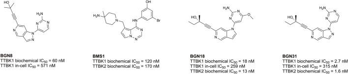 https://cdn.ncbi.nlm.nih.gov/pmc/blobs/28d3/10958382/1d8908cb2d19/fmolb-11-1352781-g005.jpg