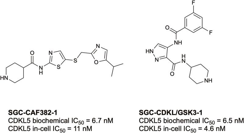 https://cdn.ncbi.nlm.nih.gov/pmc/blobs/28d3/10958382/6a7e99ac2f52/fmolb-11-1352781-g003.jpg