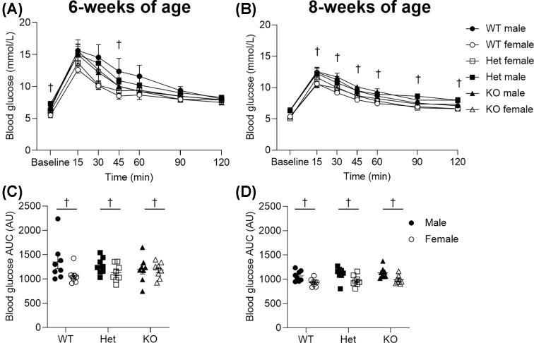 https://cdn.ncbi.nlm.nih.gov/pmc/blobs/28d4/10550770/eef670a36e4f/cs-137-cs20230792-g7.jpg