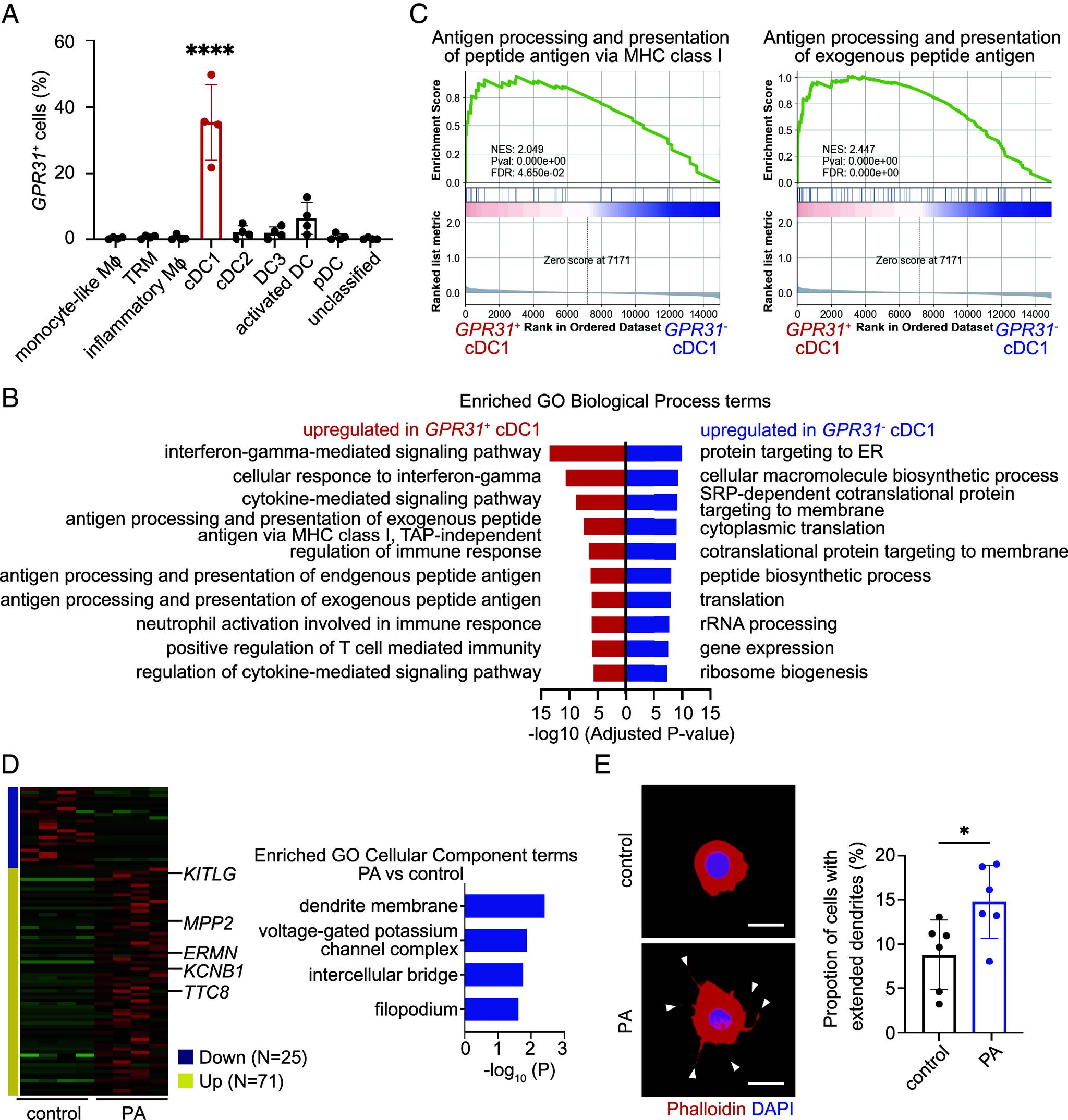 https://cdn.ncbi.nlm.nih.gov/pmc/blobs/28d5/11536072/eb8d6a822fc6/pnas.2318767121fig02.jpg