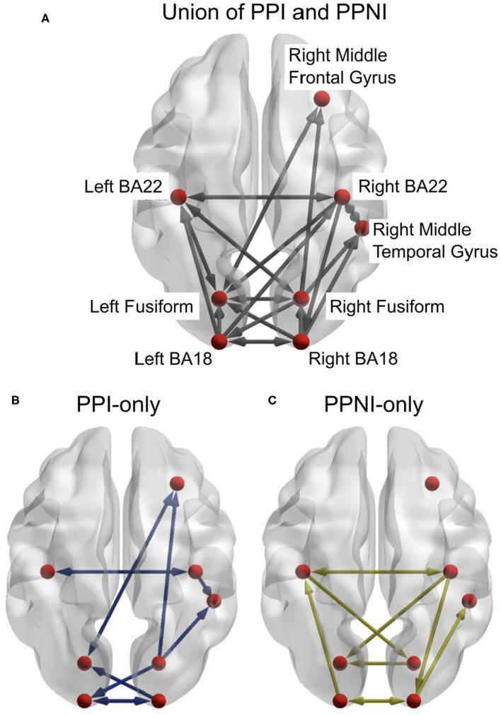 https://cdn.ncbi.nlm.nih.gov/pmc/blobs/28d5/8062739/38c8964105a7/fnagi-13-631599-g0004.jpg
