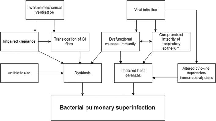 https://cdn.ncbi.nlm.nih.gov/pmc/blobs/28d5/9968485/d0cc5ccdfd4d/gr2_lrg.jpg