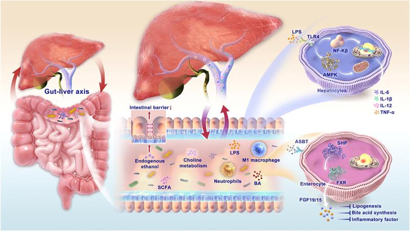 https://cdn.ncbi.nlm.nih.gov/pmc/blobs/28d6/12101596/665334abba1e/KGMI_A_2500099_F0002_OC.jpg