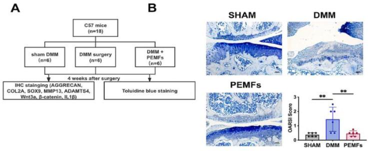 https://cdn.ncbi.nlm.nih.gov/pmc/blobs/28d6/12109083/c8ba58466218/bioengineering-12-00474-g004.jpg