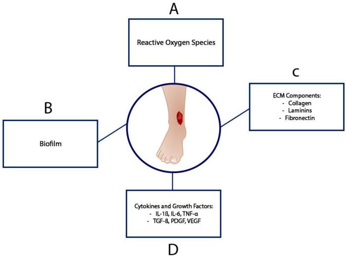 https://cdn.ncbi.nlm.nih.gov/pmc/blobs/28d6/12109083/e72c0895be85/bioengineering-12-00474-g002.jpg