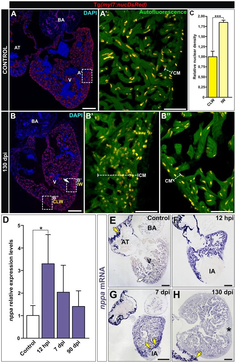 https://cdn.ncbi.nlm.nih.gov/pmc/blobs/28d6/4274112/9d867b8f03a8/pone.0115604.g005.jpg