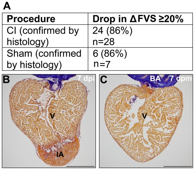 https://cdn.ncbi.nlm.nih.gov/pmc/blobs/28d6/4274112/c17b4635a4a2/pone.0115604.g003.jpg