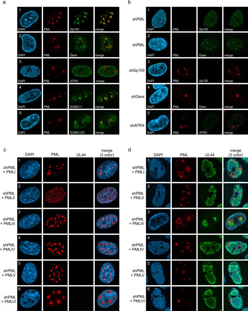 https://cdn.ncbi.nlm.nih.gov/pmc/blobs/28d6/8975554/8832801181e5/elife-73006-fig2.jpg