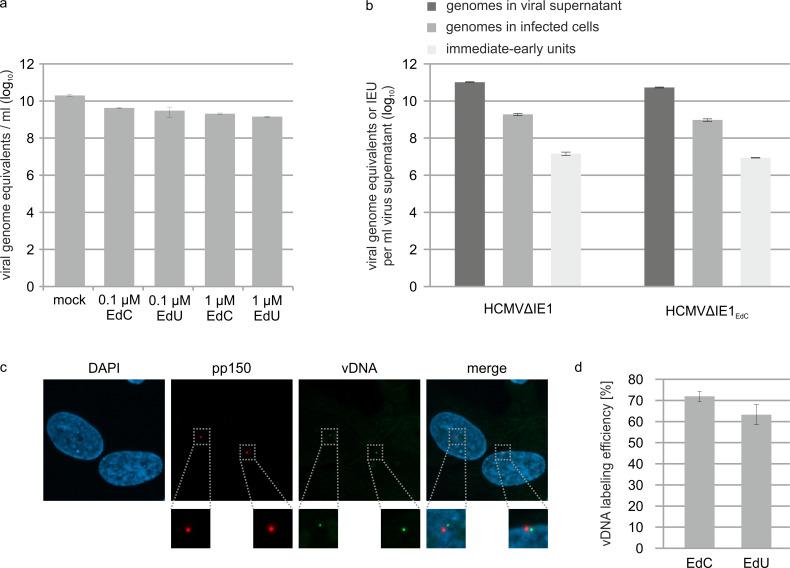 https://cdn.ncbi.nlm.nih.gov/pmc/blobs/28d6/8975554/ba3f30df5dbe/elife-73006-fig5-figsupp2.jpg